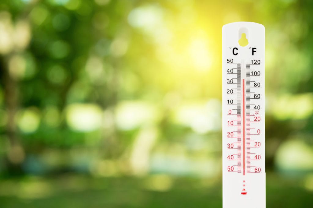 Taking the Temperature on Sustainability