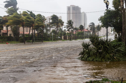 environmental risk and supply chain impact