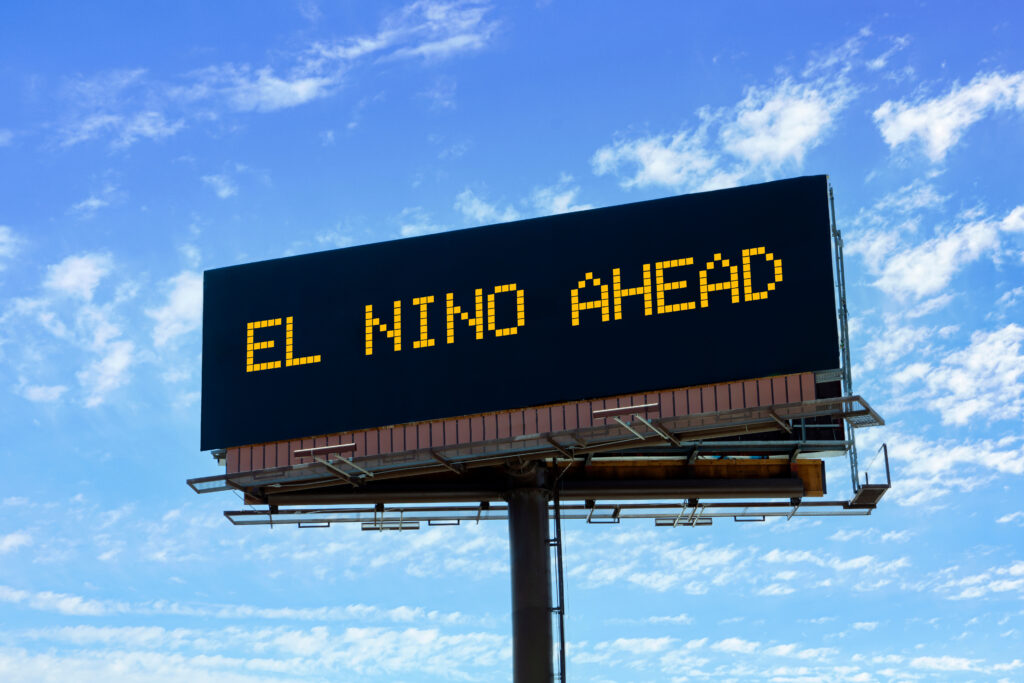 Analysts Warn of Record El Niño as Supply Chain Strain Compounds Analysts Warn of Record El Niño as Supply Chain Strain Compounds