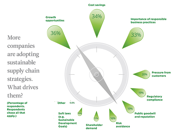 Sustainability’s Missing Link