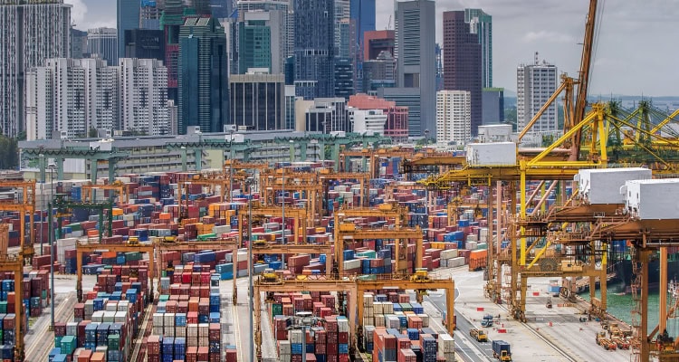 Companies operating global supply chains in dynamic regions like Asia need to understand the complexities of cross-border compliance and local business customs. These firms can benefit from working with logistics partners with deep international experience.