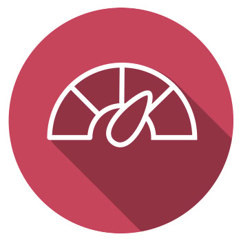 Key risk indicators (KRIs) icon.