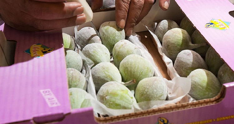 CB Customs Broker now handles customs clearance for Lufthansa Cargo’s “Perishables to Door” service.