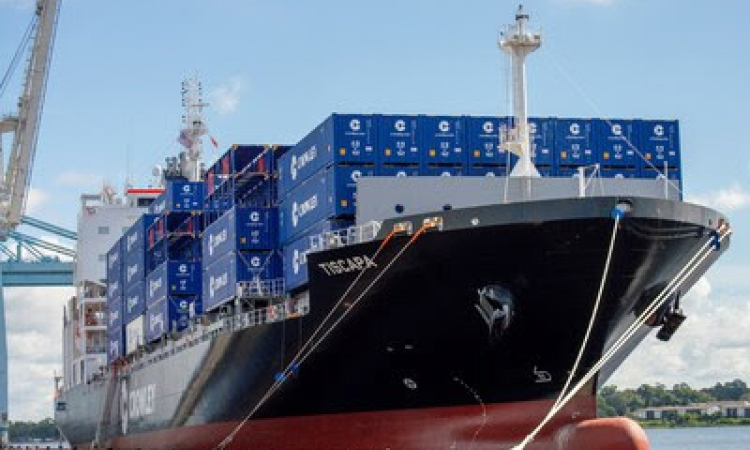 Crowley launched a direct maritime route connecting the U.S. Northeast with the Caribbean and Central America, improving import lead times.