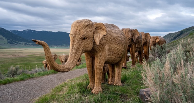 The Great Elephant Migration is a fundraising adventure featuring 100 life-size elephant sculptures, each a replica of a real wild elephant.