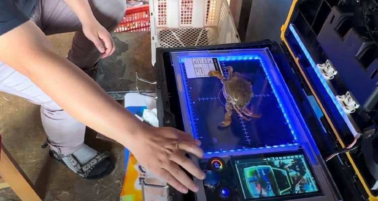 Silicon Valley venture studio NEC X made a strategic investment in SeafoodAI, a startup enabling sustainable seafood with real-time biometric data and AI-powered traceability.