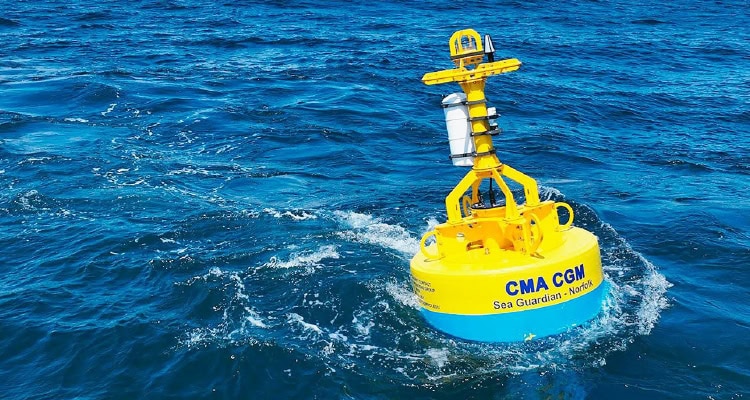 Woods Hole Oceanographic Institution (WHOI) and CMA CGM Group are collaborating to protect endangered marine animals and preserve ocean health.