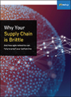 Why Your Supply Chain Is Brittle (and How Agile Networks Can Future-Proof Your Bottom Line)