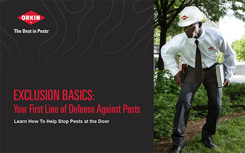 Cover image of Orkin's Exclusion Basics whitepaper.
