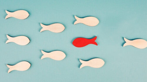 Pez rojo nadando contra la corriente