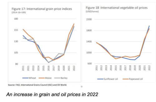 Seed shortages in 2021