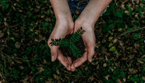 sustainable supply chain environmental benefits carbon neutral shipping