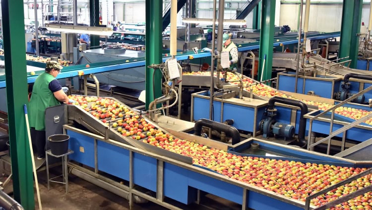 Many food companies now face strict rules and regulations requiring full traceability of agricultural products. As a result, transparency is required all the way back to sources of origin, making greater visibility a top priority. 