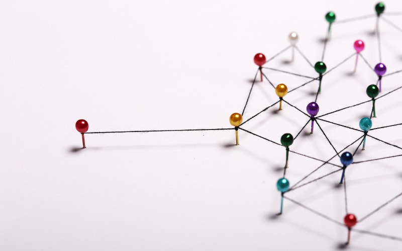 Supply Chains Are Social Networks