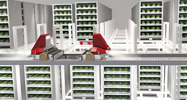 Digging Up Vertical Farming Solutions