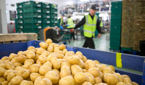 Idaho Sprouts Its First Intermodal Terminal