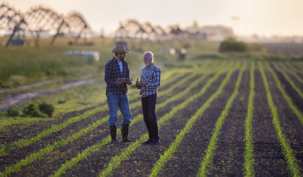 VERTICAL FOCUS: Agriculture/Bulk Agriculture Commodities