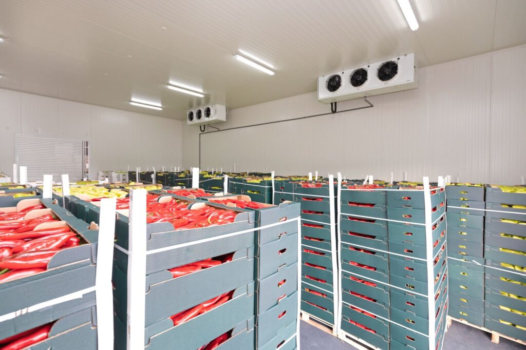 Cold Storage Warehouse: Definition, How It Works, and Key Features