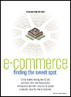 E-commerce: Finding the Sweet Spot