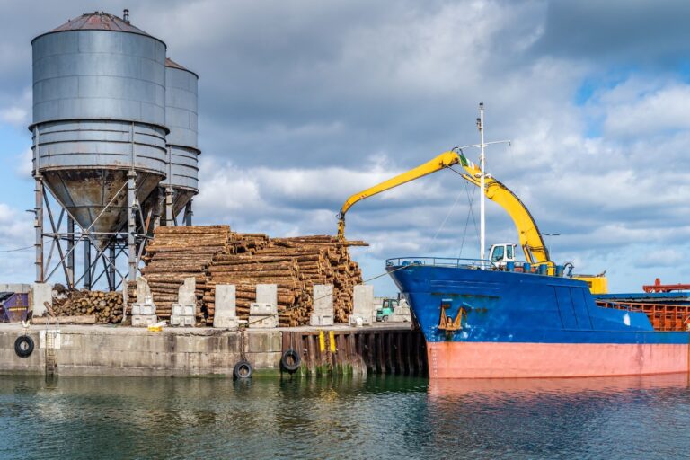  Neo Bulk Cargo Meaning, Types, and Examples