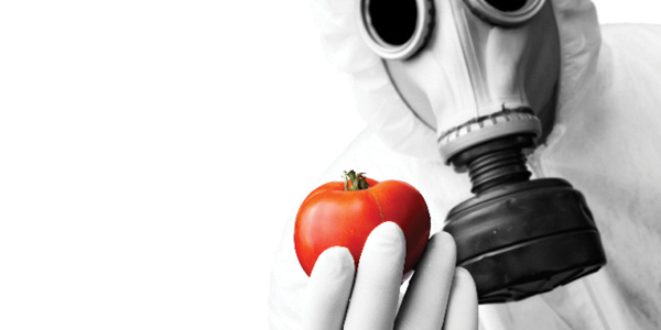 How to Prepare for the Food Safety Modernization Act