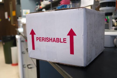 perishable cargo